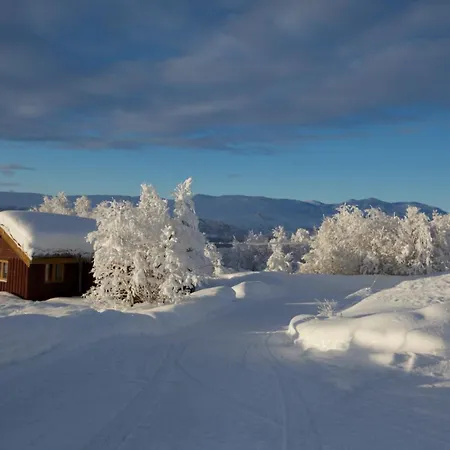 Charming With Old Timber, Fireplace & Views * Beitostolen