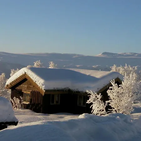 Charming With Old Timber, Fireplace & Views 公寓 Beitostolen